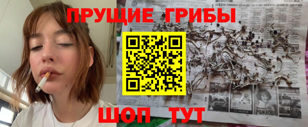 Псилоцибиновые грибы Cubensis Рубцовск