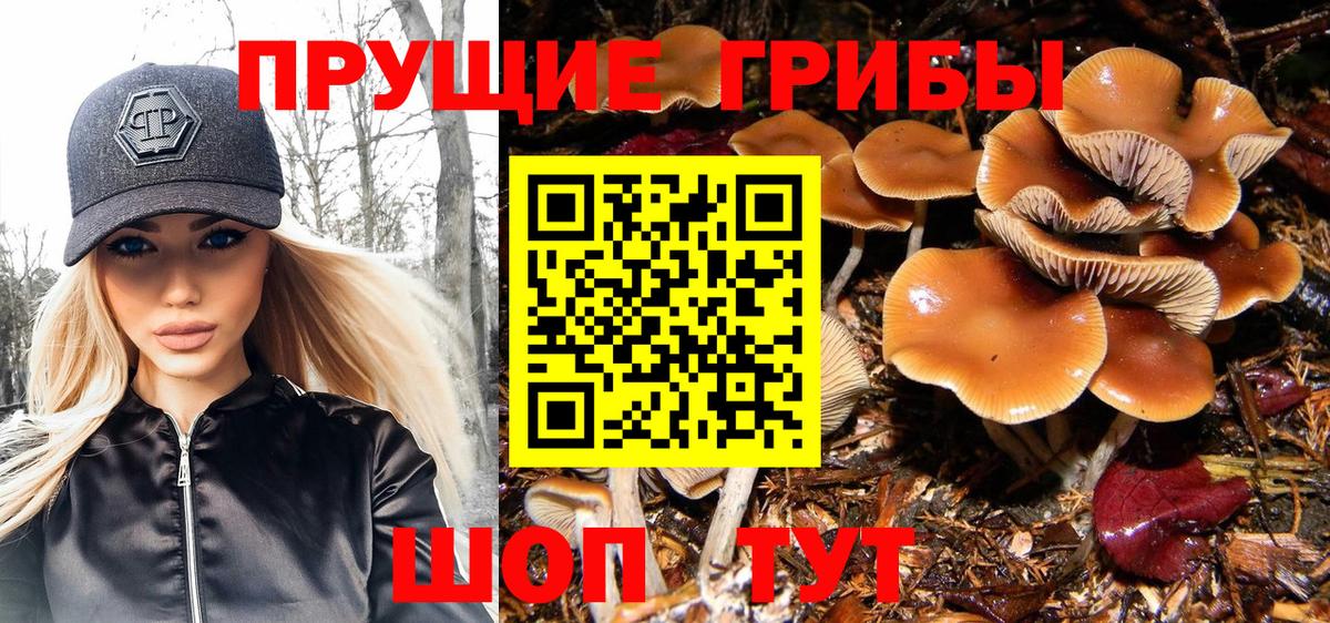 Рубцовск  Псилоцибиновые грибы мухоморы  как найти закладки  Вход с VPN 